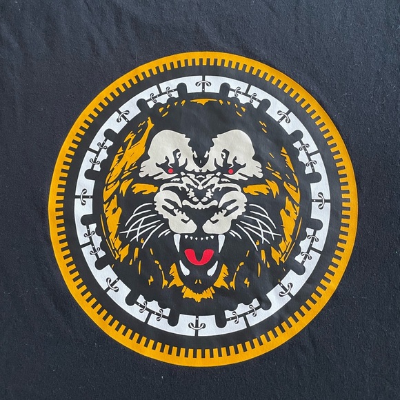 Lebron James Nike T- shirt. Men’s Medium.. fits a little small. Worn only once. - Picture 5 of 5